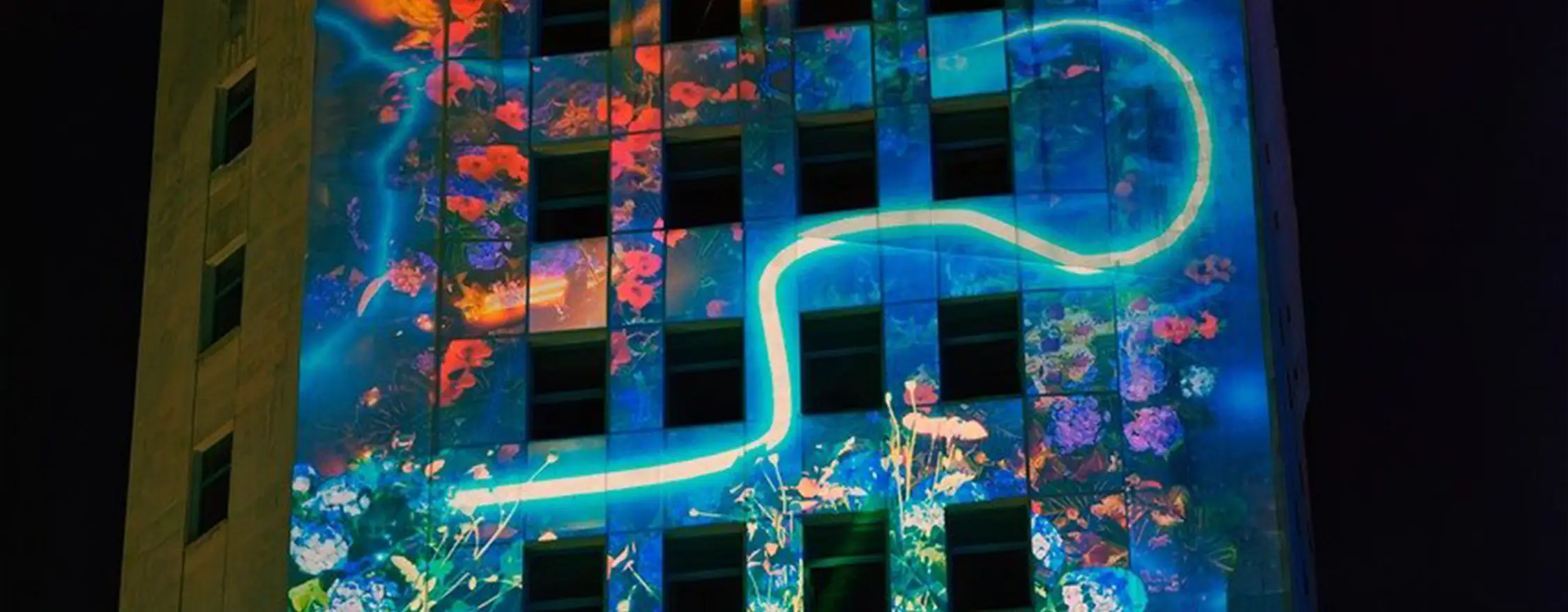 Categoria de proveedores: Proyección mapping