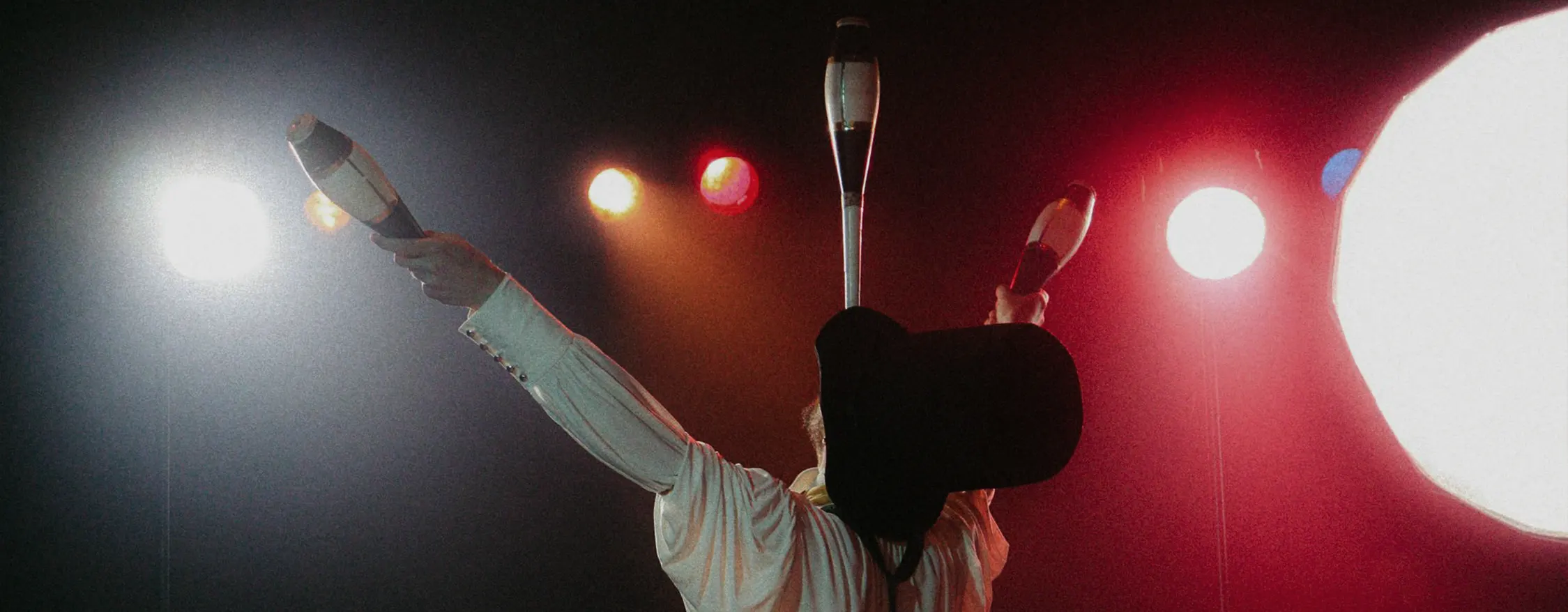 Categoria de proveedores: Zanquistas y contorsionista